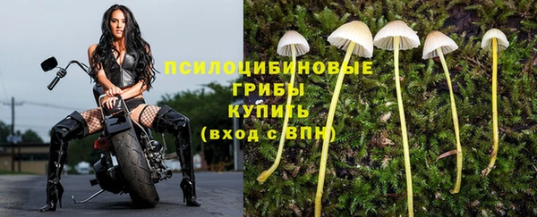 гидра Протвино