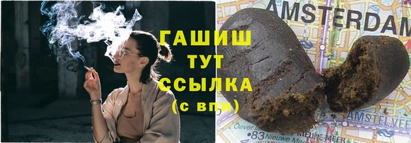 прущие грибы Балабаново