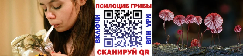 blacksprut вход  Ульяновск  дарк нет как зайти  Псилоцибиновые грибы прущие грибы 